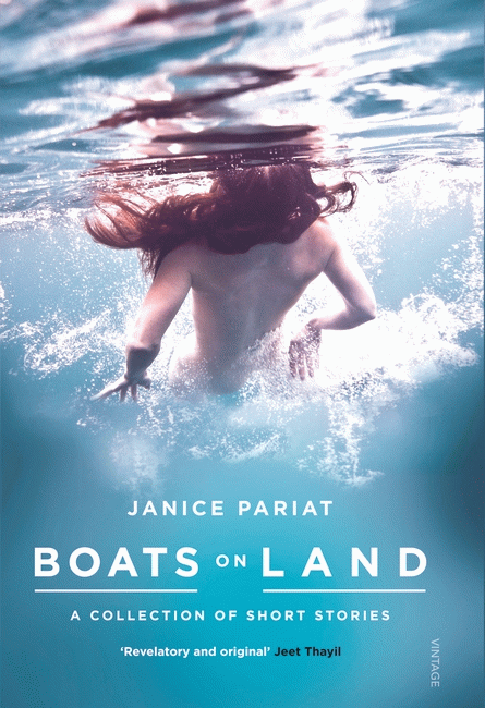 Boats on land: a collection of short stories